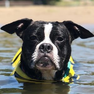 Meet your Posher, Mark